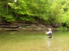 fly-fishing-trout-flies.jpg fly-fishing-trout-flies.jpg